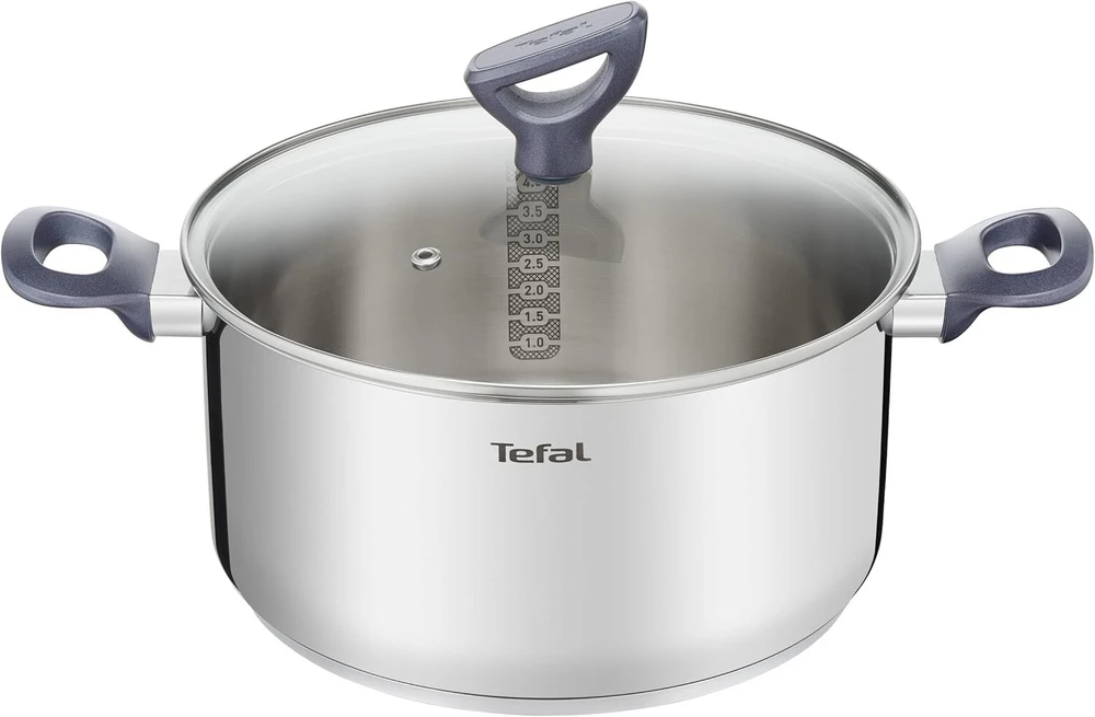 Tefal Daily Cook Puodas, nerūdijantis plienas