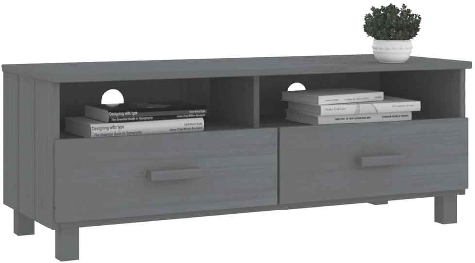 TV staliukas Televizoriaus spintelė HAMAR, tamsiai pilka, 106x40x40cm, pušis