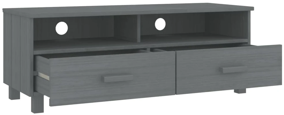 TV staliukas Televizoriaus spintelė HAMAR, tamsiai pilka, 106x40x40cm, pušis