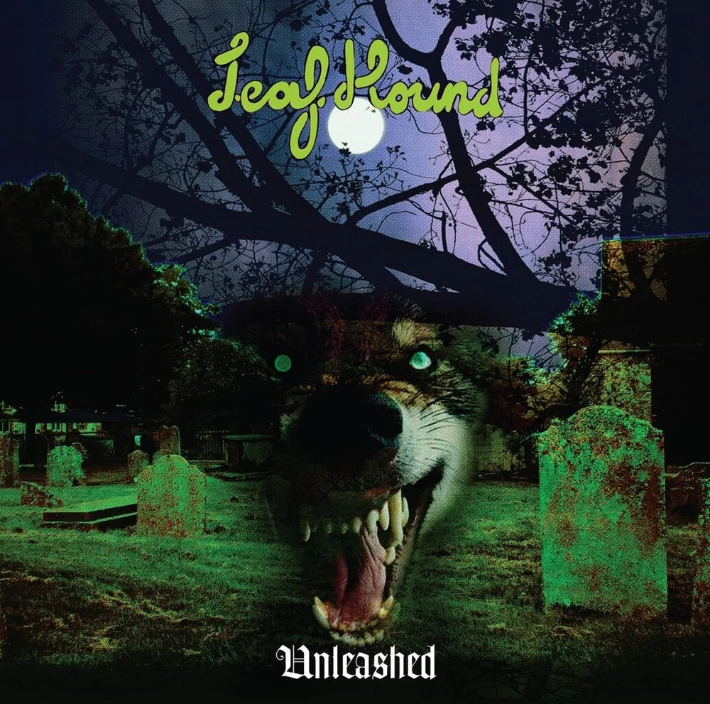Vinilinė plokštelė Unleashed