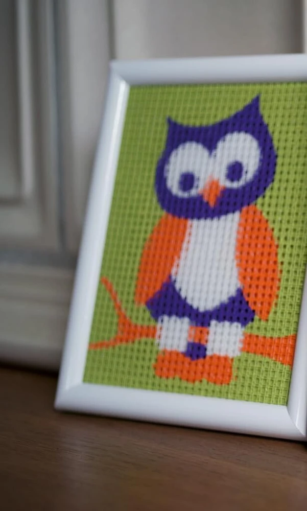 Vervaco rinkinys „wise Owl“ ant drobės, įvairių spalvų