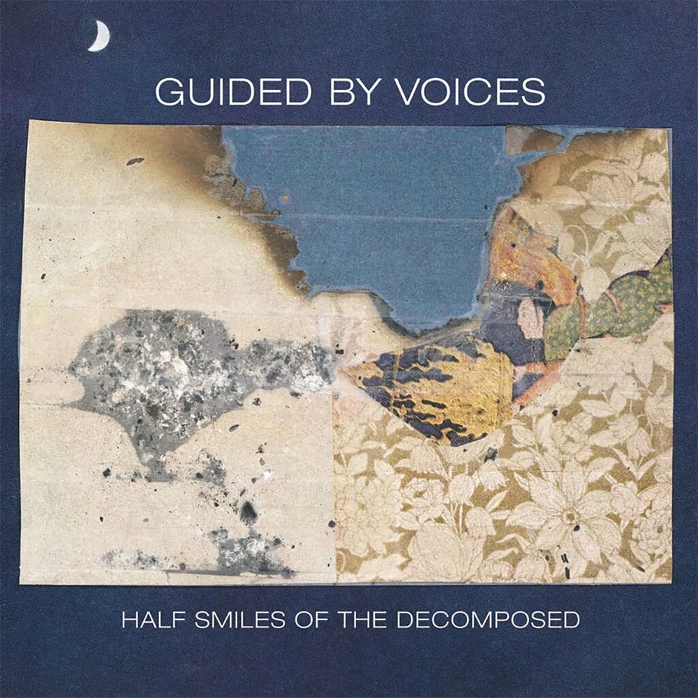 Vinilinė plokštelė Half Smiles of the Decomposed