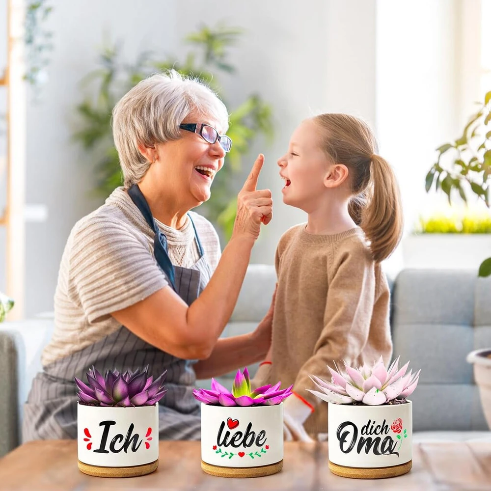 Wednok 3 gėlių vazonų rinkinys "močiutei" Geriausios dovanos močiutei Motinos dienos dovana Aš tave myliu, močiute, gimtadienio dovana Sukulentų vazonas su lėkštute močiutei Gimtadienio dovana Motinos dienos dovana Kalėdų dovana