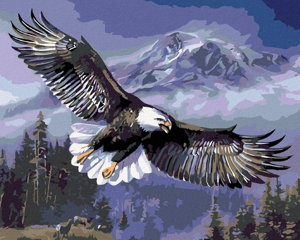 Zuty 1060221 paveikslas pagal skaičius skrendantis erelis 40 x 50 cm su porėmiu (jau įtemptas)