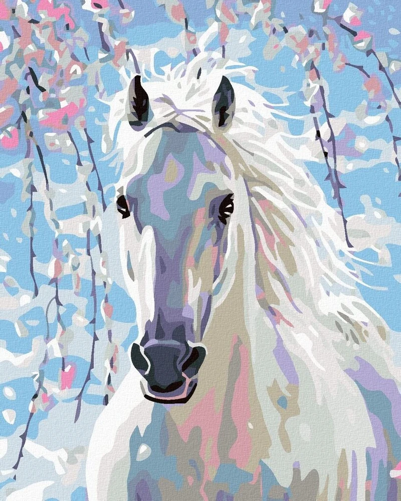Zuty 1082221 paveikslas pagal skaičius baltas arklys 40 x 50 cm su porėmiu (iš anksto įtemptas) įrėmintas