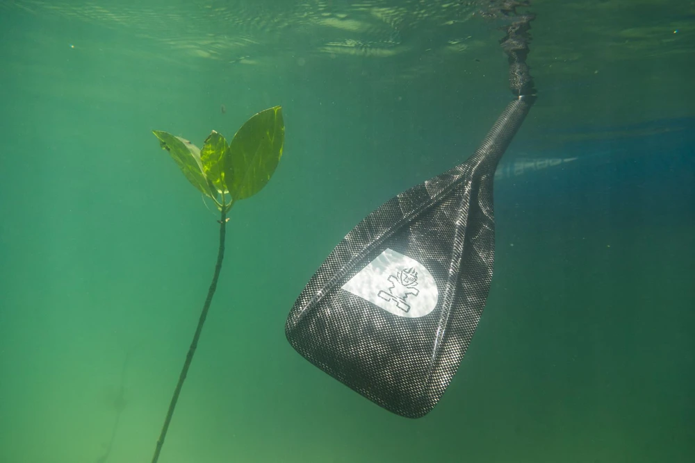 SUP irklas Starboard Lima Carbon L 3pc Adj 29 mm F35