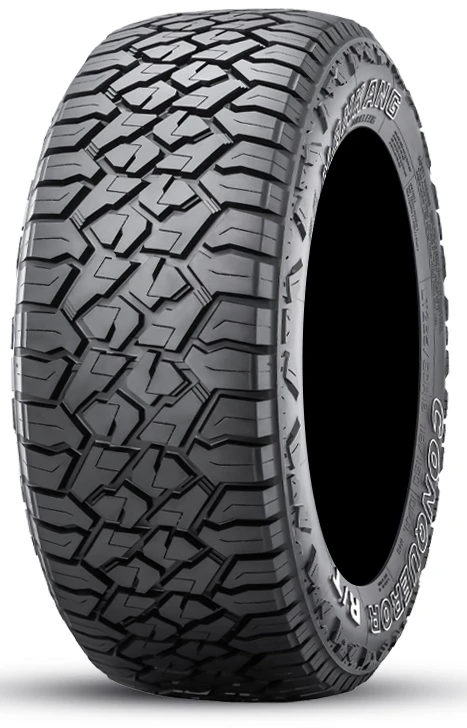 Vasarinės padangos Nankang AS-1 275/55 R20 113 T (D C B 72dB)