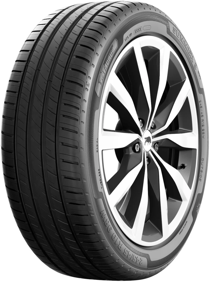 Žieminės padangos Taurus Winter 601 255/50 R19 107 Y XL (B B B 73dB)