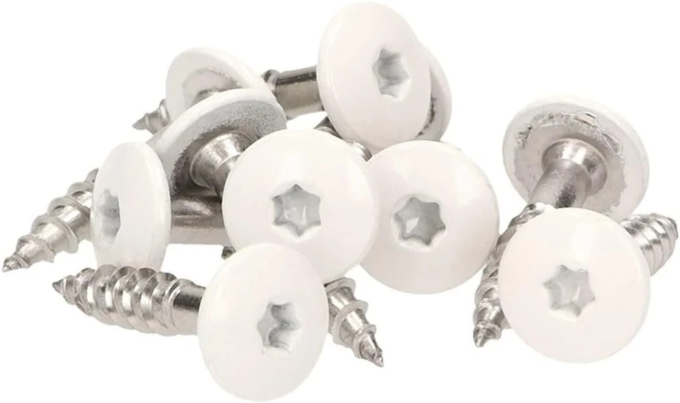 100 x Meisterling® fasadiniai varžtai Inox V4a 5,5 x 55 mm - plokščia galvutė Torx T20 + 1 antgalis - balti