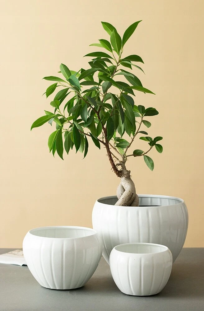 3 vnt. Pot Marbi metalinis baltas
