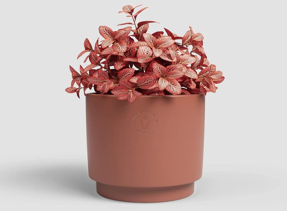 Artevasi Echo vazonas gėlėms, namų dekoras, 16.5cm skersmuo, terakotos spalvos