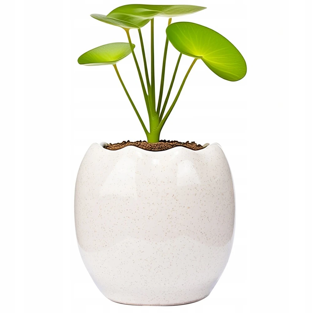 Balta keraminė vazonėlė 12cm, maža, apvali, blizgi
