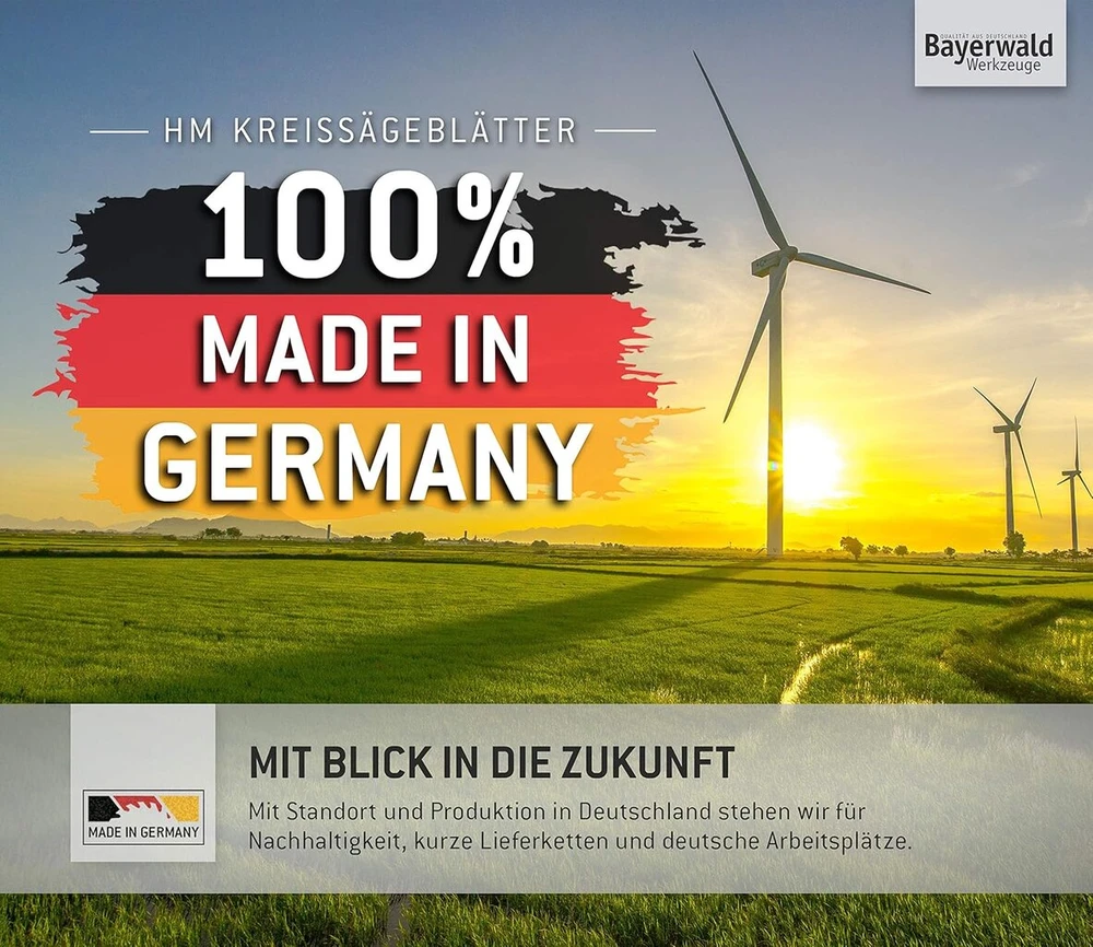 Bayerwald - hm diskinis pjūklo diskas - 355 x 2,4/2 x 25,4 | dantų forma: wwf (80 dantų) | skirtas plieno profilių atskyrimui be aušinimo