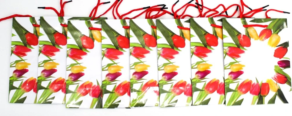 Capiso 8 vnt. vidutinio dydžio dovanų maišelių su tvirta virvele, 23 cm x 18 cm x 10 cm. Dovanų maišeliai su rankena, vakarėlių maišeliai, spalvingi maišeliai, kraft popieriniai maišeliai, tulpės