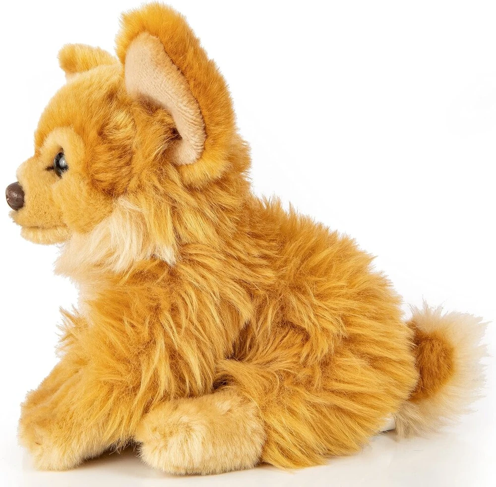 Chihuahua pliušinis šuo, rudas, sėdintis, 18 cm