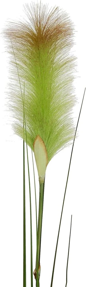 Craffancy Dekoratyvinė žolė, 2 vnt., 125 cm