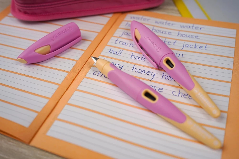 Dangtelis Stabilo Easybirdy Pastel Fountain Pen plunksnakotiniam rašikliui - mėlynas/šviesiai mėlynas