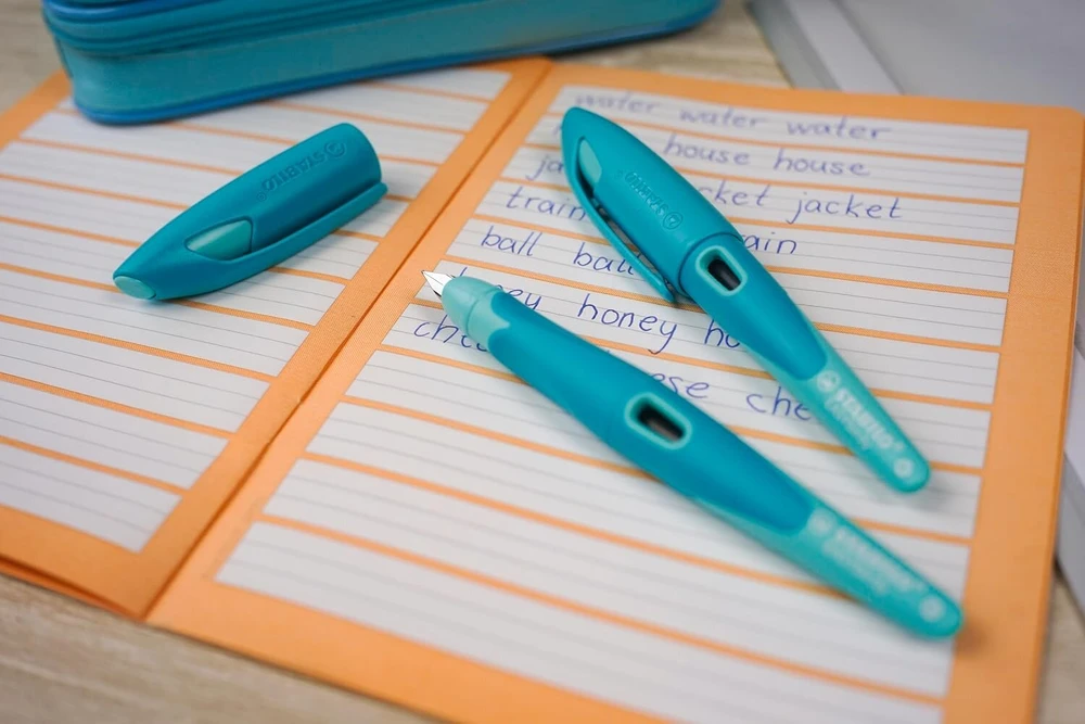 Dangtelis Stabilo Easybirdy Pastel Fountain Pen plunksnakotiniam rašikliui - mėlynas/šviesiai mėlynas