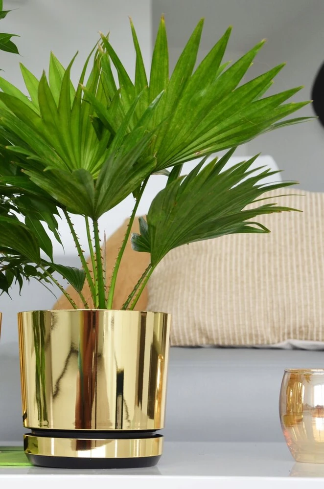 Dekoratyvinės gėlių vazonų "auksinis rinkinys" 5 vnt. Ø12 cm