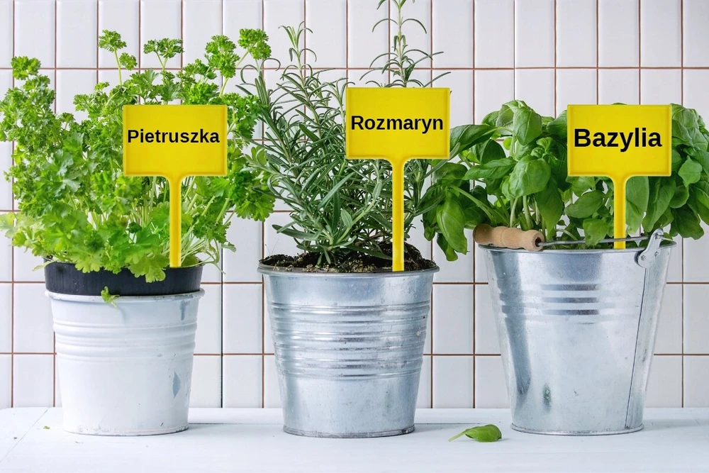 Didelės etiketės aprašymui 30 vnt. augalų žymėjimo plokštelių rinkinys + žymeklis