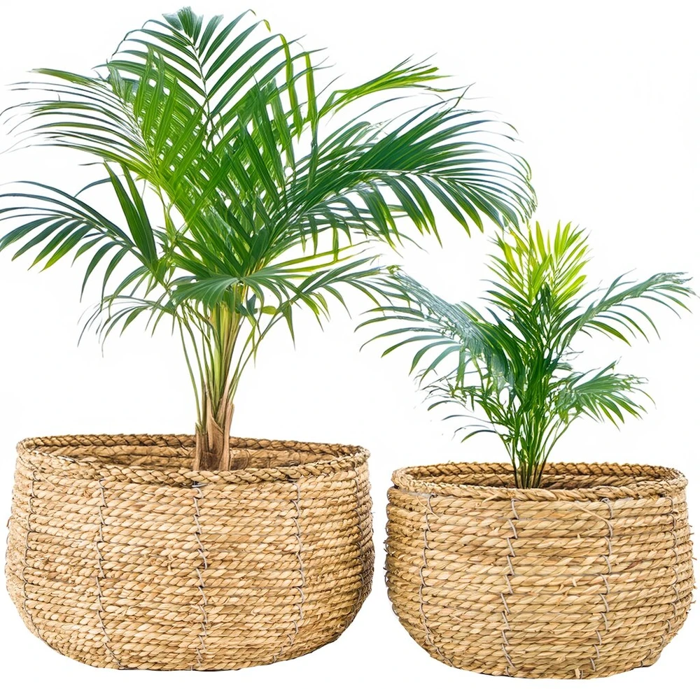 Didelis boho stiliaus vazono apvalkalas 25 cm grindų vazonas palmei, 2 vnt.