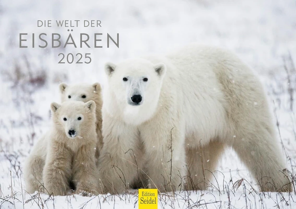 Edition Seidel Premium kalendorius The World of Polar Bears 2025 formatas Din A4 sieninis kalendorius gyvūnų kalendorius Šiaurės ašigalis Grenlandija baltasis lokys plėšrūnas