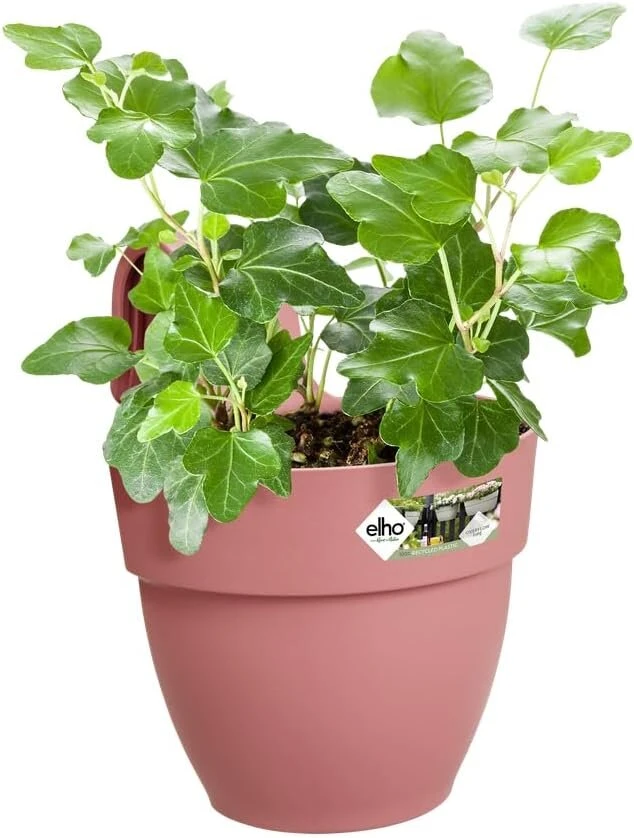 Elho Vibia Campana Easy Hanger S 21 vazonas balkonui ir laukui, skersmuo 20,5 x aukštis 26,5 cm, rožinis / pudros rožinis