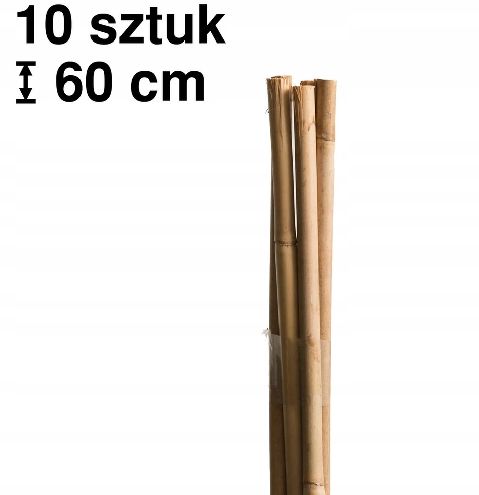Esschert Design Bambukinės atramos augalams, 60 cm, 10 vnt.