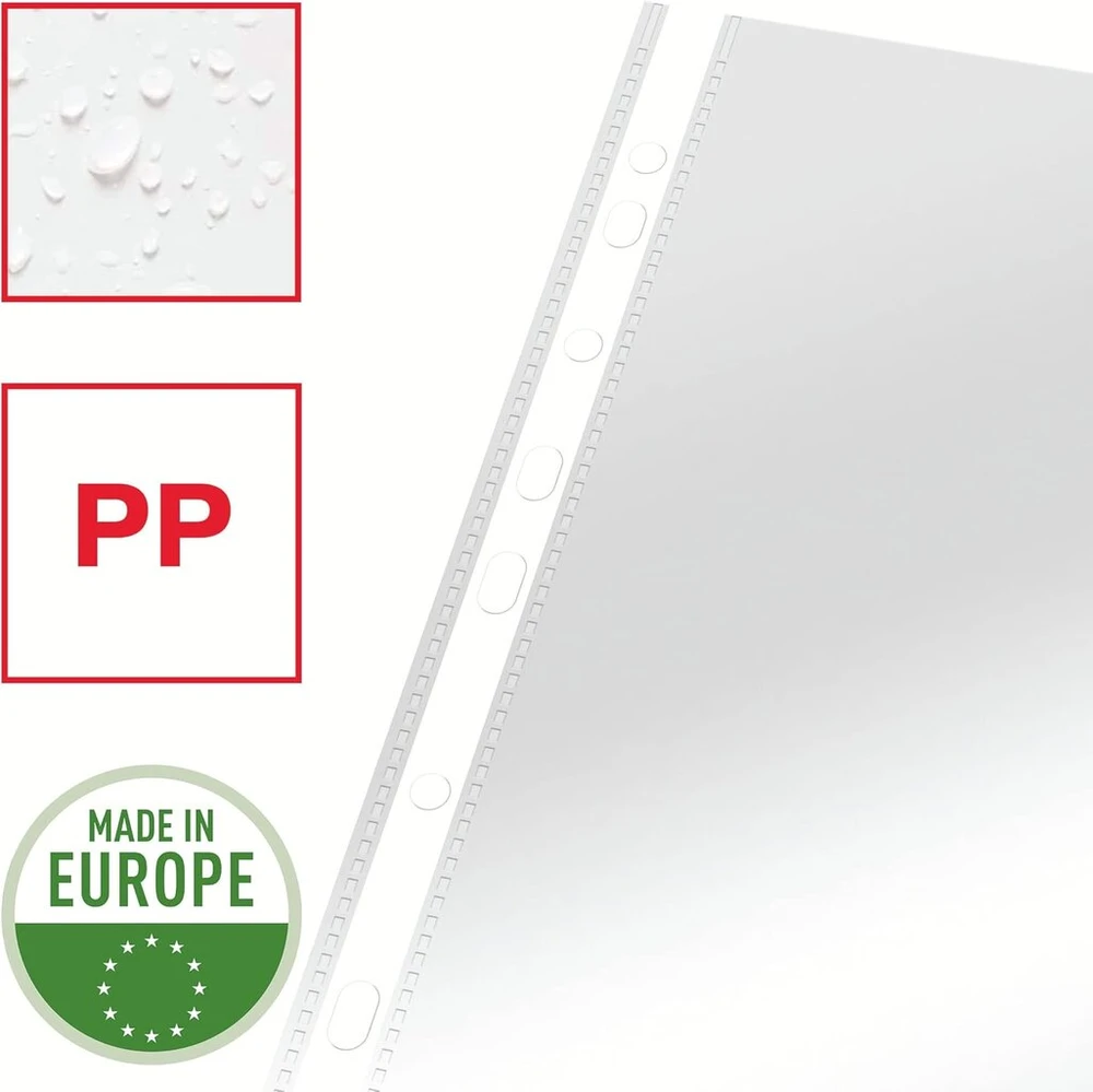 Esselte Leitz Standard A4 Pp dokumentų aplankas 100 vienetų skaidrus