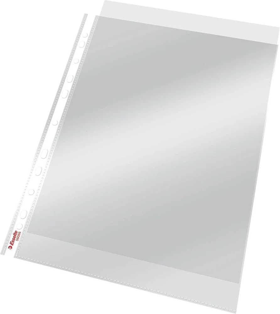 Esselte Leitz Standard A4 Pp dokumentų aplankas 100 vienetų skaidrus