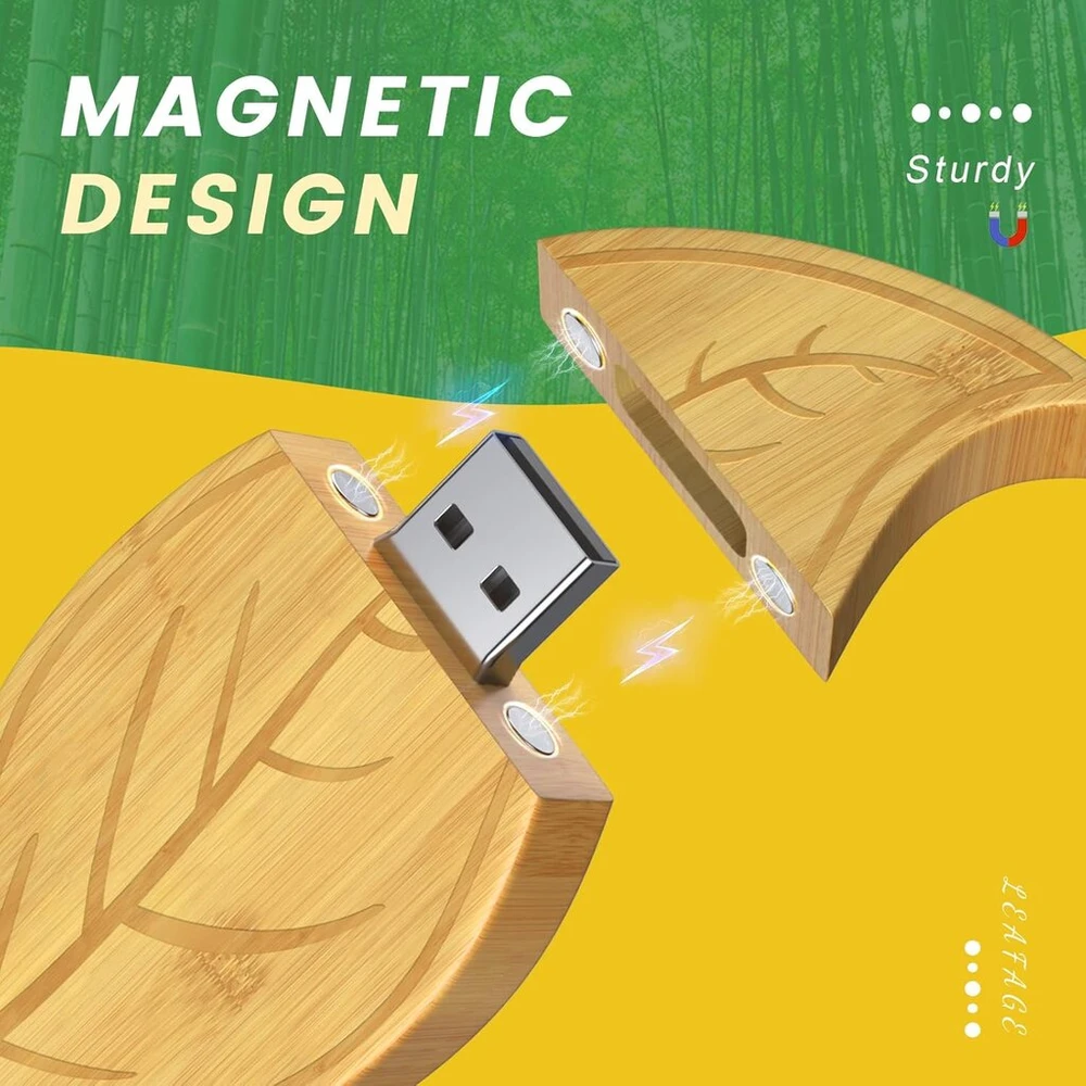 Febniscte 32gb medinis lapelis usb 2.0 atmintinė su graikinių riešutų dėžute