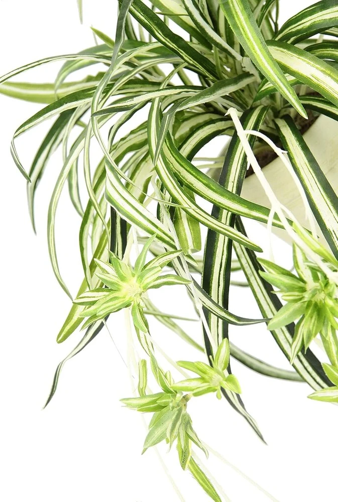 Flair Flower dirbtinė žalia lelija vazone, dirbtinis augalas chlorophytum, žalias augalas, šilkinis augalas, vandens lelija, vorinis augalas, vorinė lelija, kabanti netikra vestuvių dekoracija, žalia / balta, 36 x 46 x 40 cm