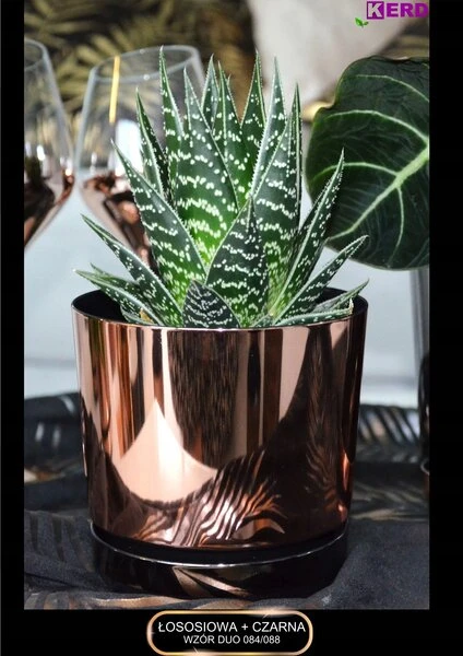 Gėlių vazonas Duo su stovu, dvispalvis, 14 cm