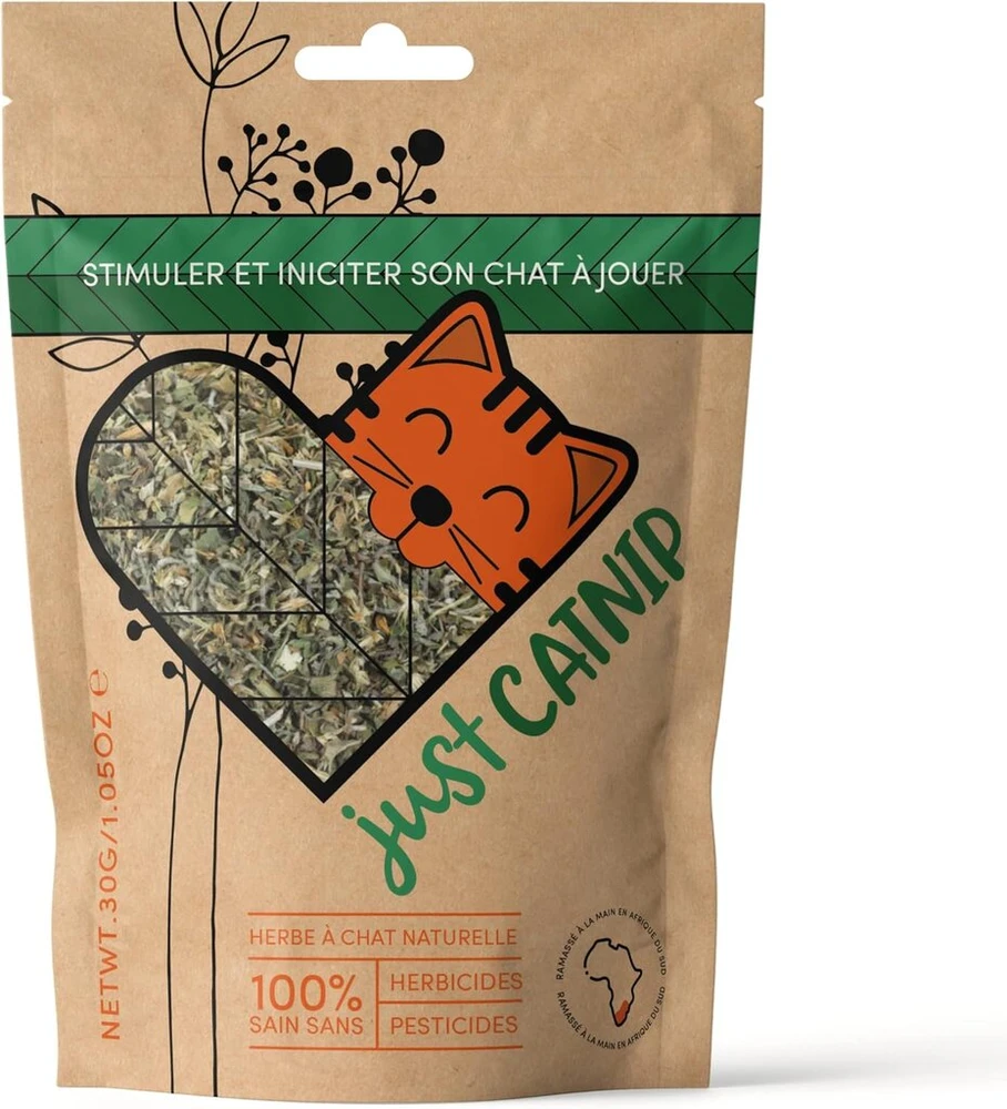 Just Catnip katžolė | ekologiška | užauginta Pietų Afrikoje | žaislas ir skanėstai katėms, užauginti tvariai ir etiškai