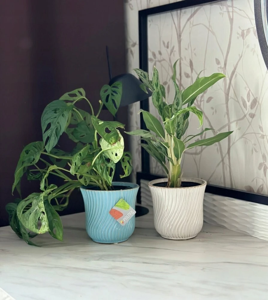 Keraminis gėlių vazonas mėlynas dekoratyvinė keramika gėlėms 12.5cm