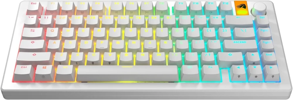 Klaviatūra Glorious Gaming - Gpbt klavišų dangteliai su apšvietimu (balti) permatomi simboliai mechaninėms klaviatūroms 100%, 75%, 65%, 60% ir Ansi & Iso - amerikietiška Qwerty išdėstymas