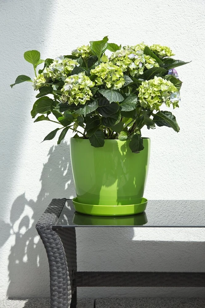Lamela stovas Nr. 3 fi 14,5 cm, h 2,1 cm, baltas
