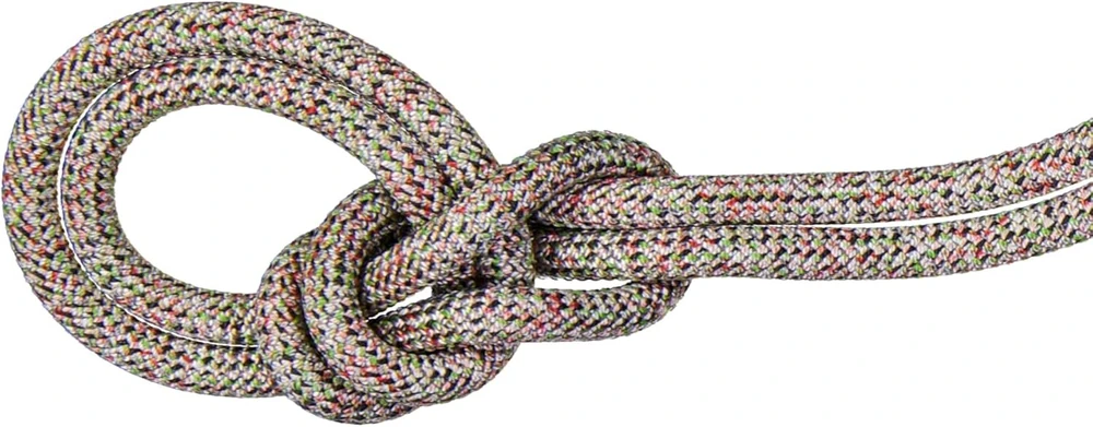 Mammut 9.5 Crag We Care Classic virvė | perdirbta alpinizmo virvė, įranga lauko sportui | 40 m