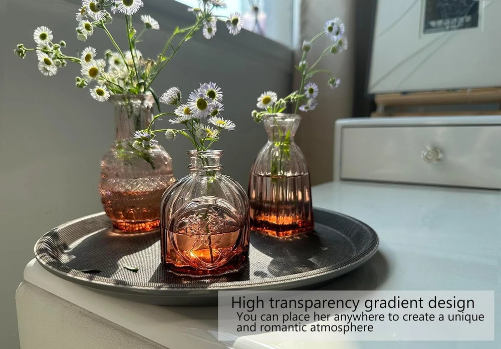 Mažas mini vazų rinkinys, 12 stiklinių vazų gėlių dekoravimui stalo dekoravimui, vestuvėms, stiklinė vaza, vintage raudona, įvairių dydžių, moderni stalo vestuvių dekoracija, namų dekoras