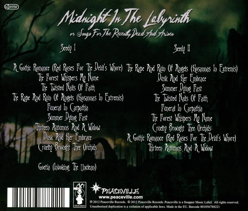 Vinilinė plokštelė Midnight in the Labyrinth