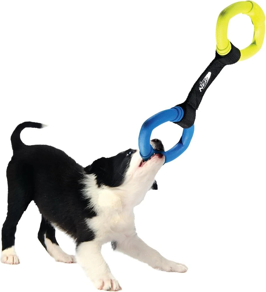 Nerf Dog Two Ring Strap Tug žaislas šunims, 33 cm