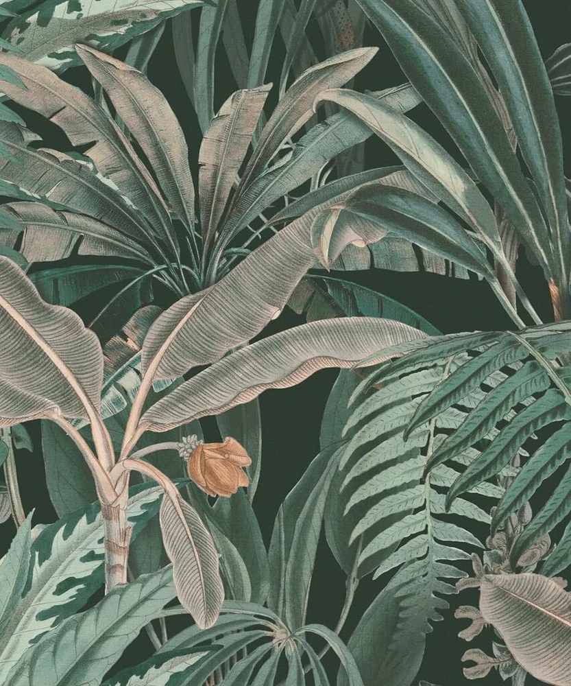 Rasch fototapetas 590111 – flizelininis fototapetas su palmėmis ir bananų lapais žalios, pilkos ir rudos spalvos iš kolekcijos „magicwalls“ – 3,00 m x 2,50 m (ilgis x plotis)