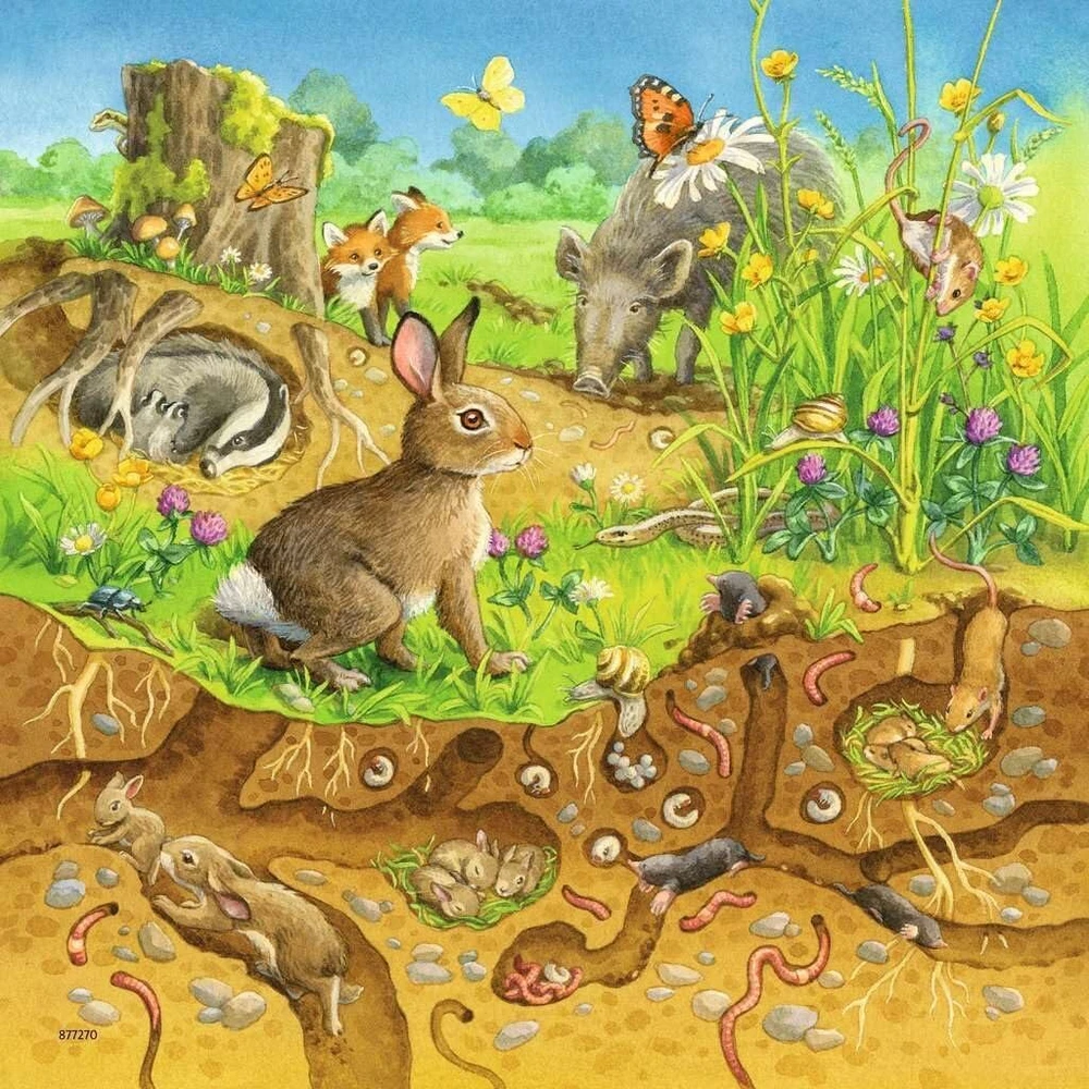 Ravensburger 00.008.050 49 dalių dėlionė - dėlionės (dėlionė iš plytelių, menas, vaikams, mergaitėms, 5 m., 210 mm)