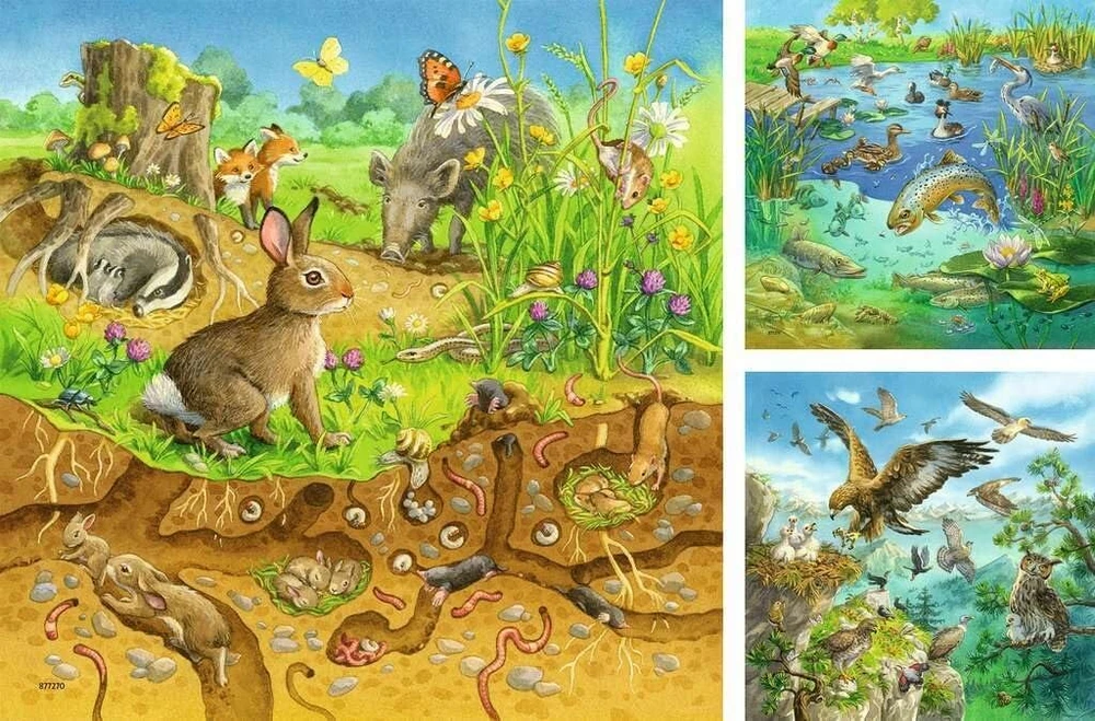 Ravensburger 00.008.050 49 dalių dėlionė - dėlionės (dėlionė iš plytelių, menas, vaikams, mergaitėms, 5 m., 210 mm)