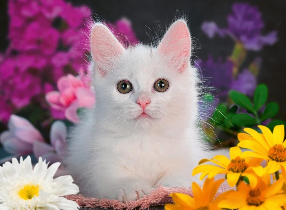 Ravensburger vaikiška dėlionė - 13358 Glitter Cat - 100 detalių blizganti dėlionė vaikams nuo 6 metų su blizgučiais