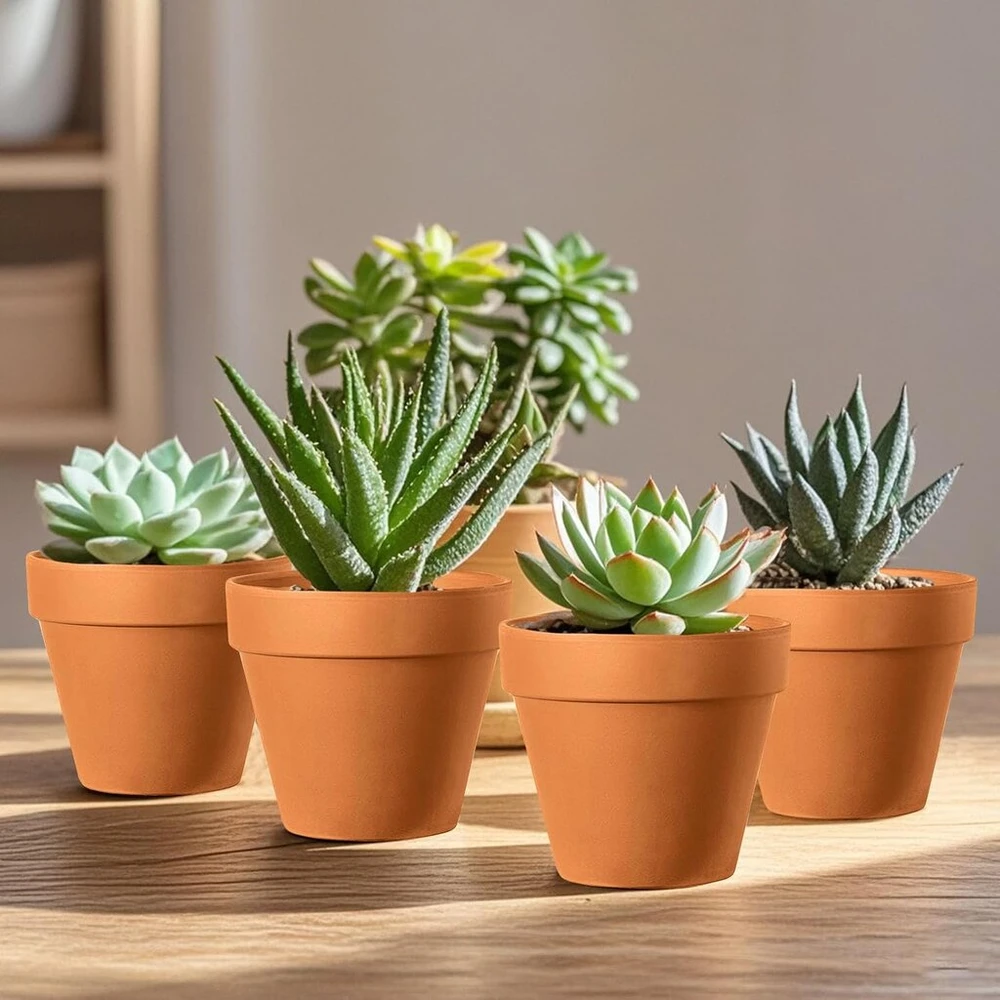 Realure 20 molinių vazonų rinkinys sukulentams, 4,5 x 4 cm, maži terakotiniai vazonai su spalvomis ir teptuku, terakotiniai vazonai su drenažo skylute, molinis vazonas sukulentams, kaktusams, vidaus