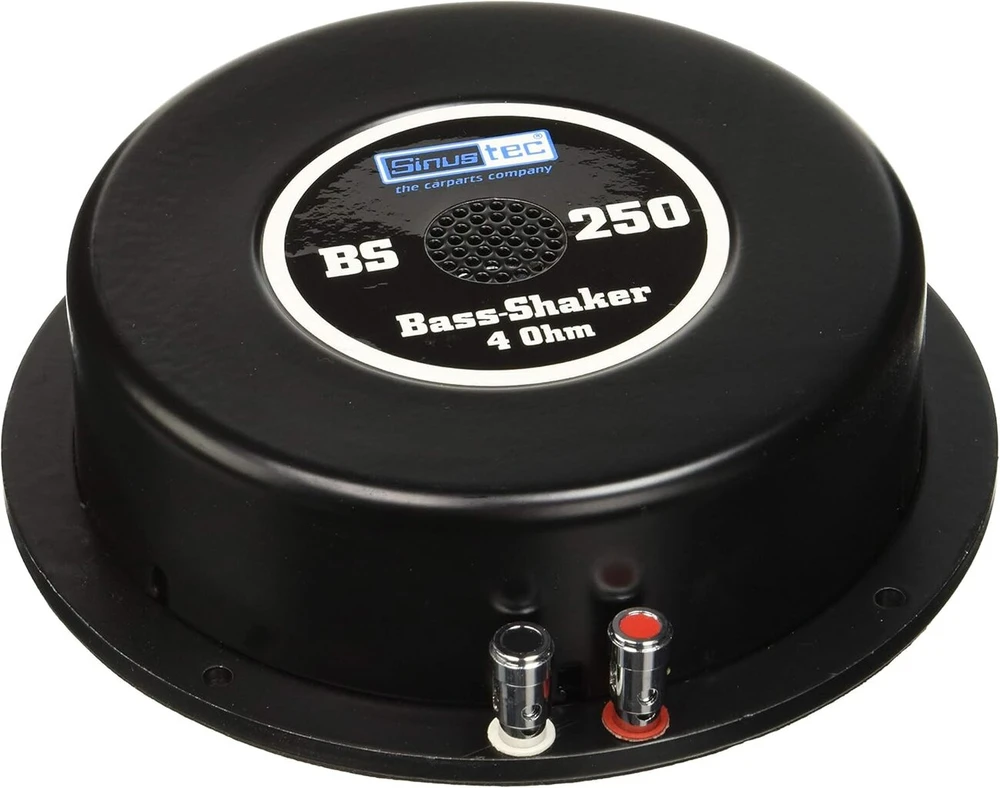 Reckhorn Sinustec 14019 Bs 250 triukšmo generatorius 4 Ohm, juodas