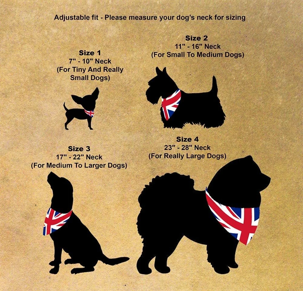 Spoilt Rotten Pets Hello 2020 šuns bandana Hogmanay Naujųjų metų išvakarių kostiumas šuns bandana