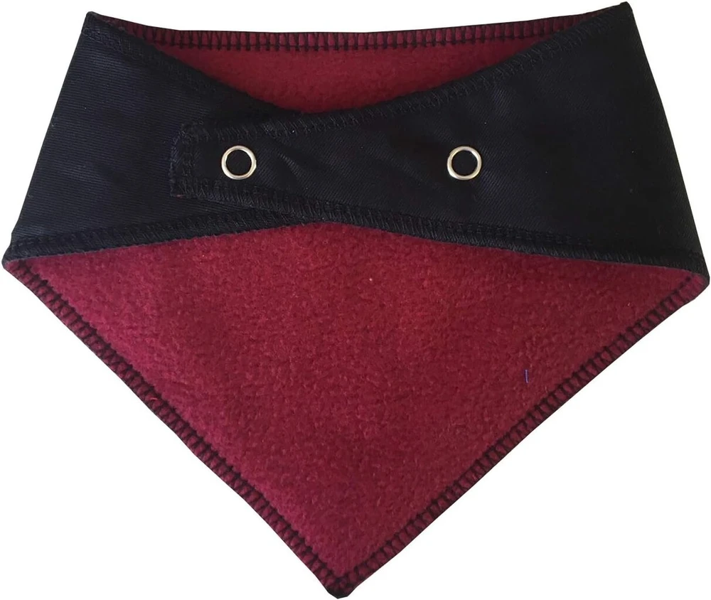 Spoilt Rotten Pets Hello 2020 šuns bandana Hogmanay Naujųjų metų išvakarių kostiumas šuns bandana