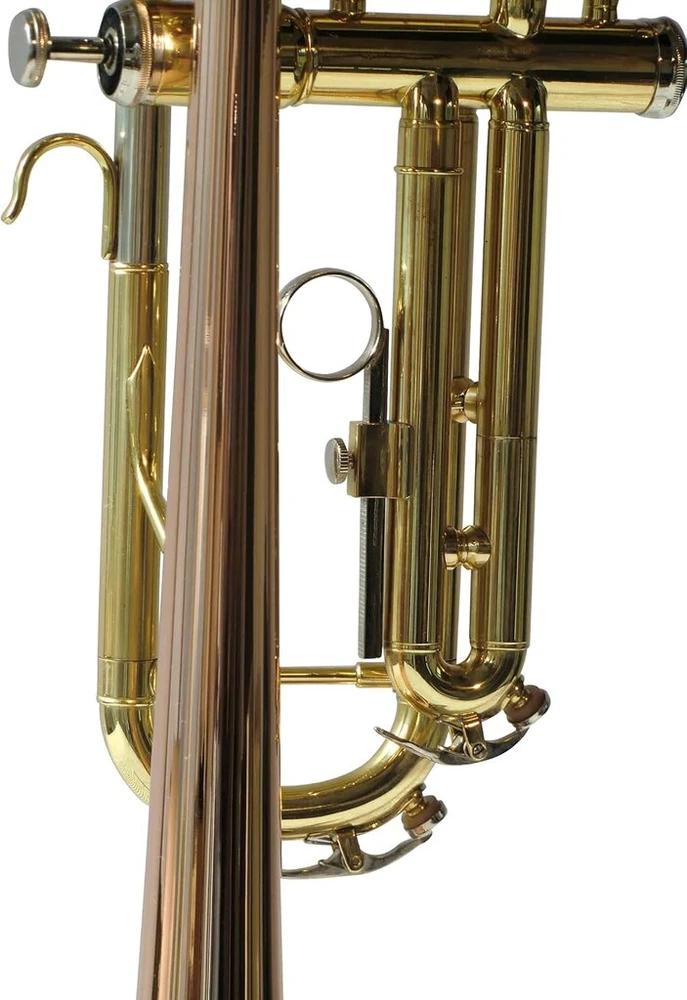 Symphonie Westerwald® trimitas, perinet trimitas, koncertinis trimitas, auksinis žalvaris su monel ventiliais, įskaitant prabangų kietą dėklą ir priedus